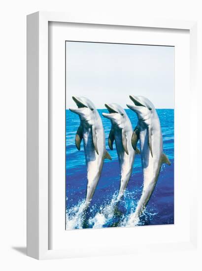 Dancing Dolphins-null-Framed Art Print