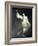 Dancing Dream-Malgorzata Maj-Framed Photographic Print