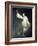 Dancing Dream-Malgorzata Maj-Framed Photographic Print