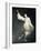 Dancing Dream-Malgorzata Maj-Framed Photographic Print