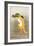 Dancing Fox with Lotus-Leaf Hat-Koson Ohara-Framed Giclee Print