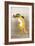 Dancing Fox with Lotus-Leaf Hat-Koson Ohara-Framed Giclee Print