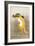 Dancing Fox with Lotus-Leaf Hat-Koson Ohara-Framed Giclee Print