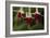 Dancing Fuchsias II-Rita Crane-Framed Photographic Print