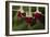 Dancing Fuchsias II-Rita Crane-Framed Photographic Print