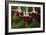 Dancing Fuchsias II-Rita Crane-Framed Photographic Print