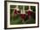 Dancing Fuchsias II-Rita Crane-Framed Photographic Print