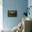 Dancing Fuchsias II-Rita Crane-Framed Premier Image Canvas displayed on a wall