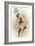 Dancing Gypsy Girl-null-Framed Art Print