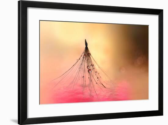 Dancing in Pink-Heidi Westum-Framed Photographic Print