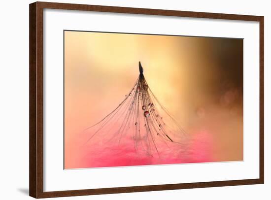 Dancing in Pink-Heidi Westum-Framed Photographic Print