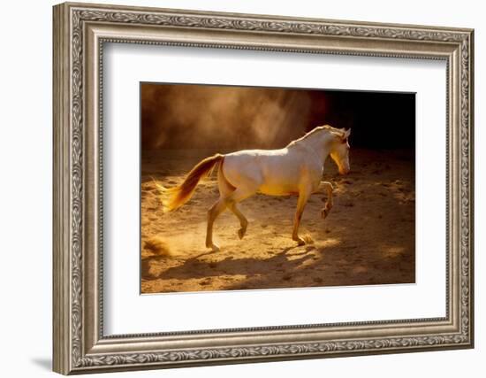 Dancing In The Light-Lisa Dearing-Framed Photographic Print