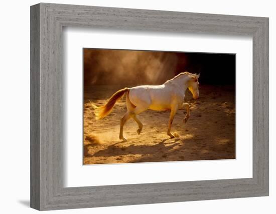 Dancing In The Light-Lisa Dearing-Framed Photographic Print