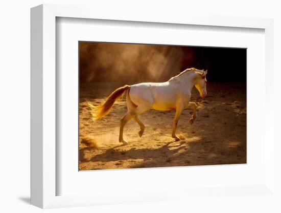 Dancing In The Light-Lisa Dearing-Framed Photographic Print