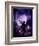 Dancing in the Moonlight-Julie Fain-Framed Art Print