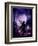 Dancing in the Moonlight-Julie Fain-Framed Art Print