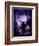 Dancing in the Moonlight-Julie Fain-Framed Art Print