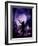 Dancing in the Moonlight-Julie Fain-Framed Art Print