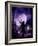 Dancing in the Moonlight-Julie Fain-Framed Art Print