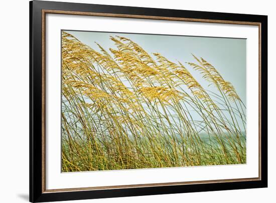 Dancing in the Wind-Mary Lou Johnson-Framed Art Print