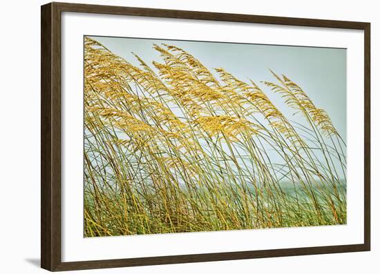 Dancing in the Wind-Mary Lou Johnson-Framed Art Print