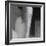 Dancing in Time II-Doug Chinnery-Framed Photographic Print