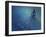 Dancing Into The Blue Night-Heidi Westum-Framed Giclee Print