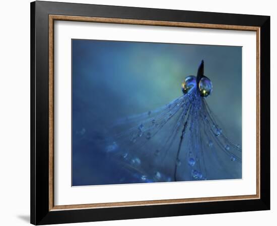 Dancing Into The Blue Night-Heidi Westum-Framed Giclee Print