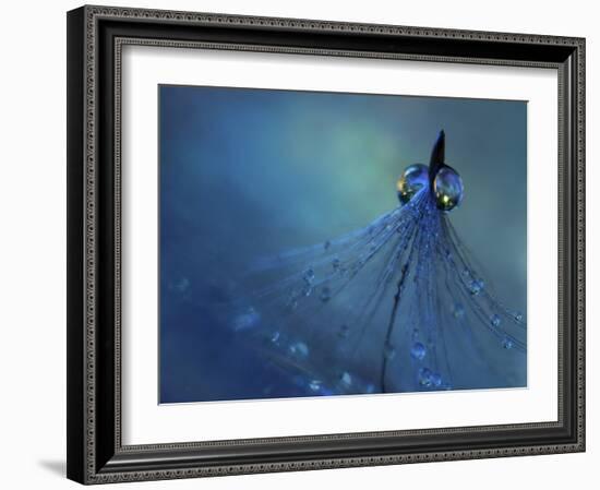 Dancing Into The Blue Night-Heidi Westum-Framed Giclee Print