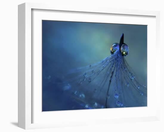 Dancing Into The Blue Night-Heidi Westum-Framed Giclee Print