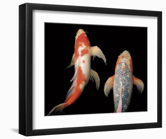 Dancing Koi I-Boyce Watt-Framed Giclee Print