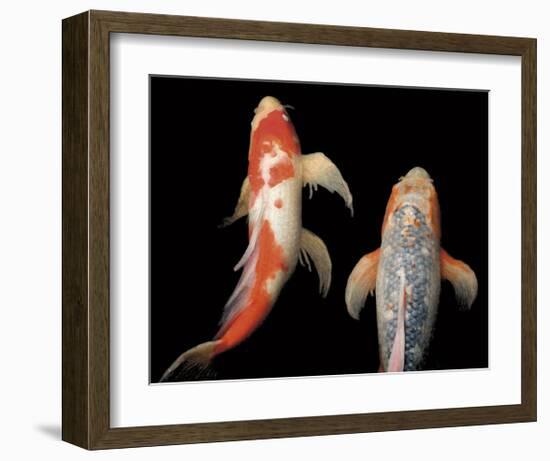 Dancing Koi I-Boyce Watt-Framed Giclee Print