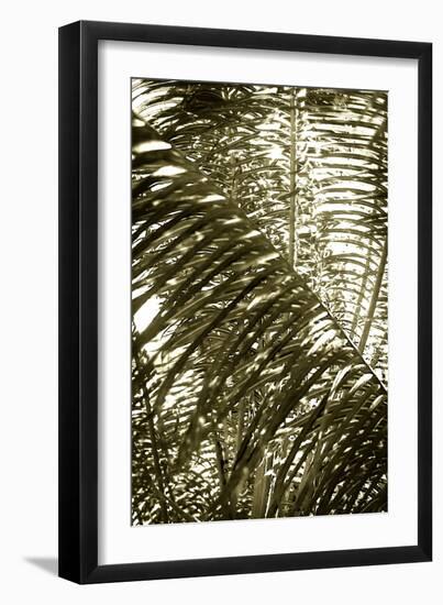 Dancing Light I-Alan Hausenflock-Framed Photographic Print