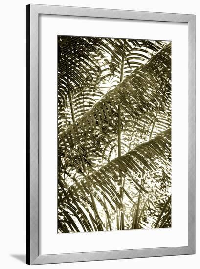 Dancing Light II-Alan Hausenflock-Framed Photographic Print