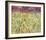 Dancing Meadow-Jessica Torrant-Framed Art Print