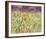 Dancing Meadow-Jessica Torrant-Framed Art Print