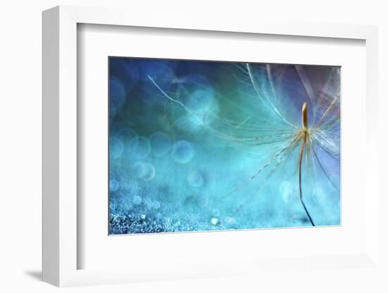 Dancing on the Sea Floor-Heidi Westum-Framed Photographic Print