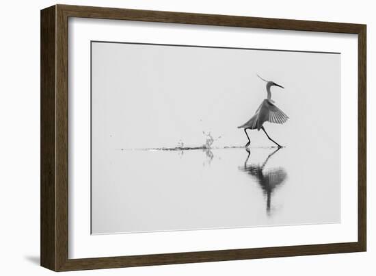 Dancing on the Water-mauro rossi-Framed Photographic Print