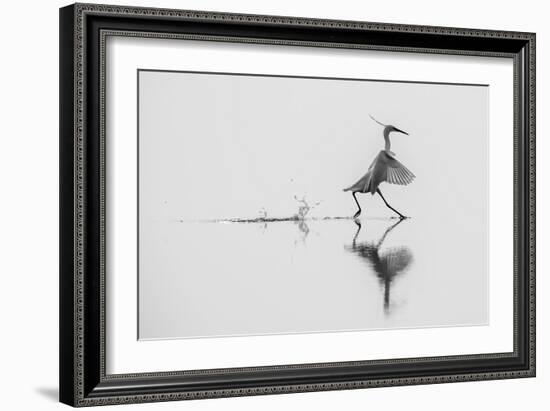 Dancing on the Water-mauro rossi-Framed Photographic Print