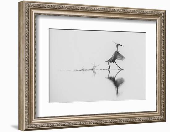 Dancing on the Water-mauro rossi-Framed Photographic Print