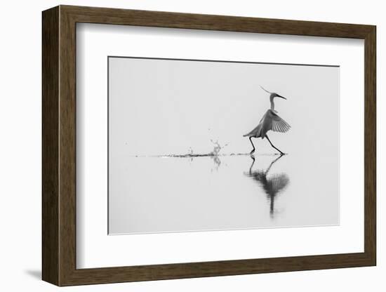 Dancing on the Water-mauro rossi-Framed Photographic Print