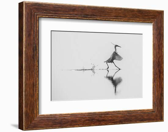 Dancing on the Water-mauro rossi-Framed Photographic Print