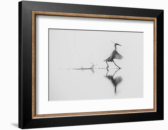 Dancing on the Water-mauro rossi-Framed Photographic Print