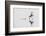 Dancing on the Water-mauro rossi-Framed Photographic Print