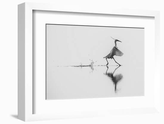 Dancing on the Water-mauro rossi-Framed Photographic Print