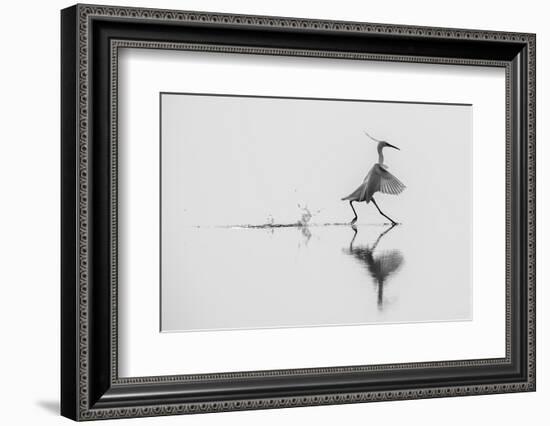 Dancing on the Water-mauro rossi-Framed Photographic Print