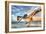 Dancing Pelican-Robert Goldwitz-Framed Photographic Print