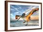 Dancing Pelican-Robert Goldwitz-Framed Photographic Print