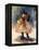 Dancing Queen-Edosa Oguigo-Framed Premier Image Canvas