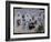 Dancing Sailors, Brittany, 1930-Christopher Wood-Framed Giclee Print